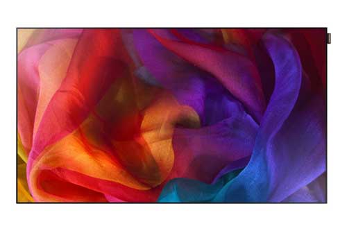 SAMSUNG UE55D